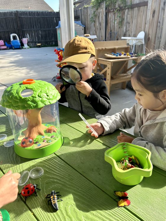 HoneyBunny Preschool's Photo