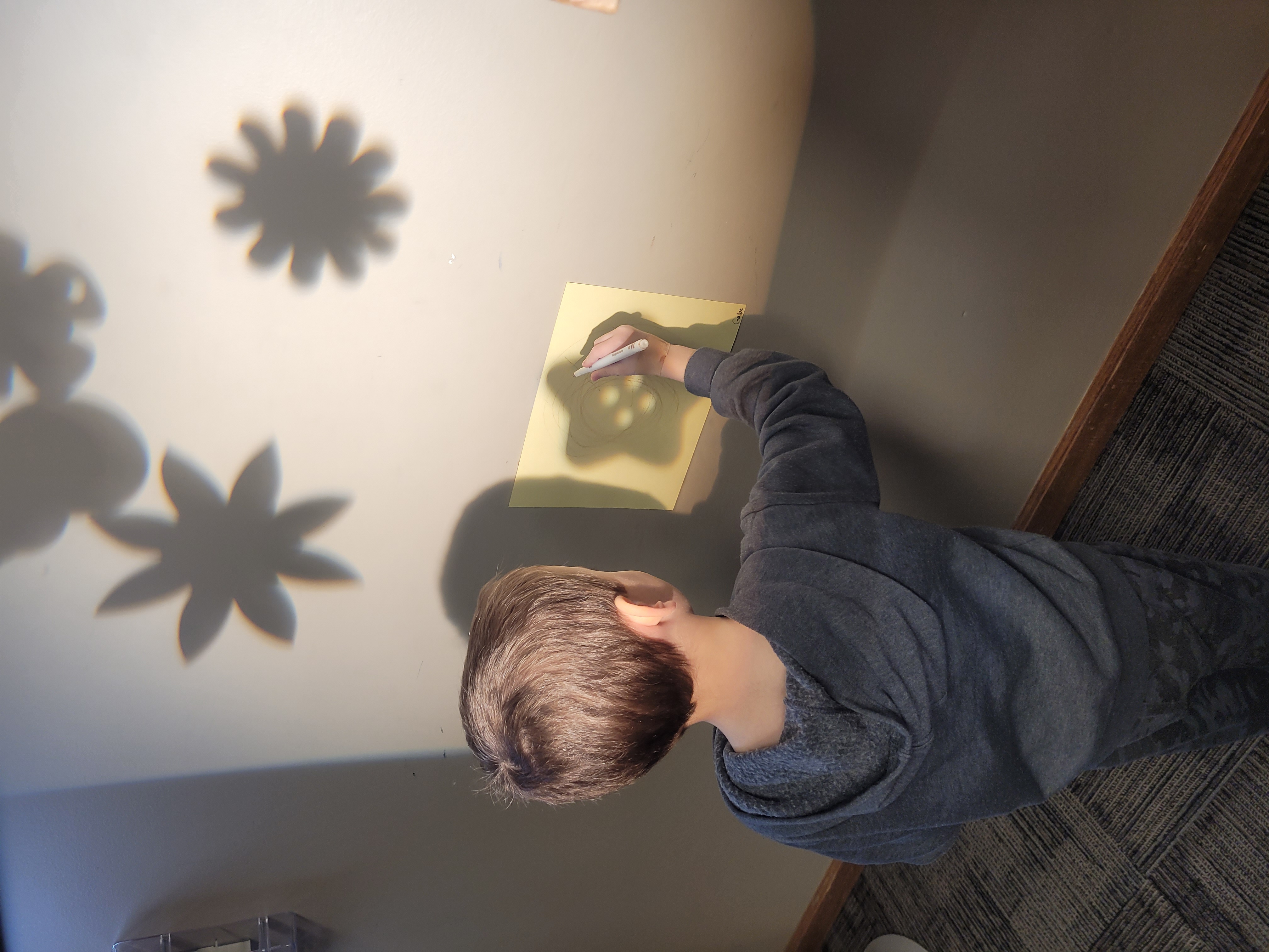 LITTLE LAMBS PRESCHOOL's Photo