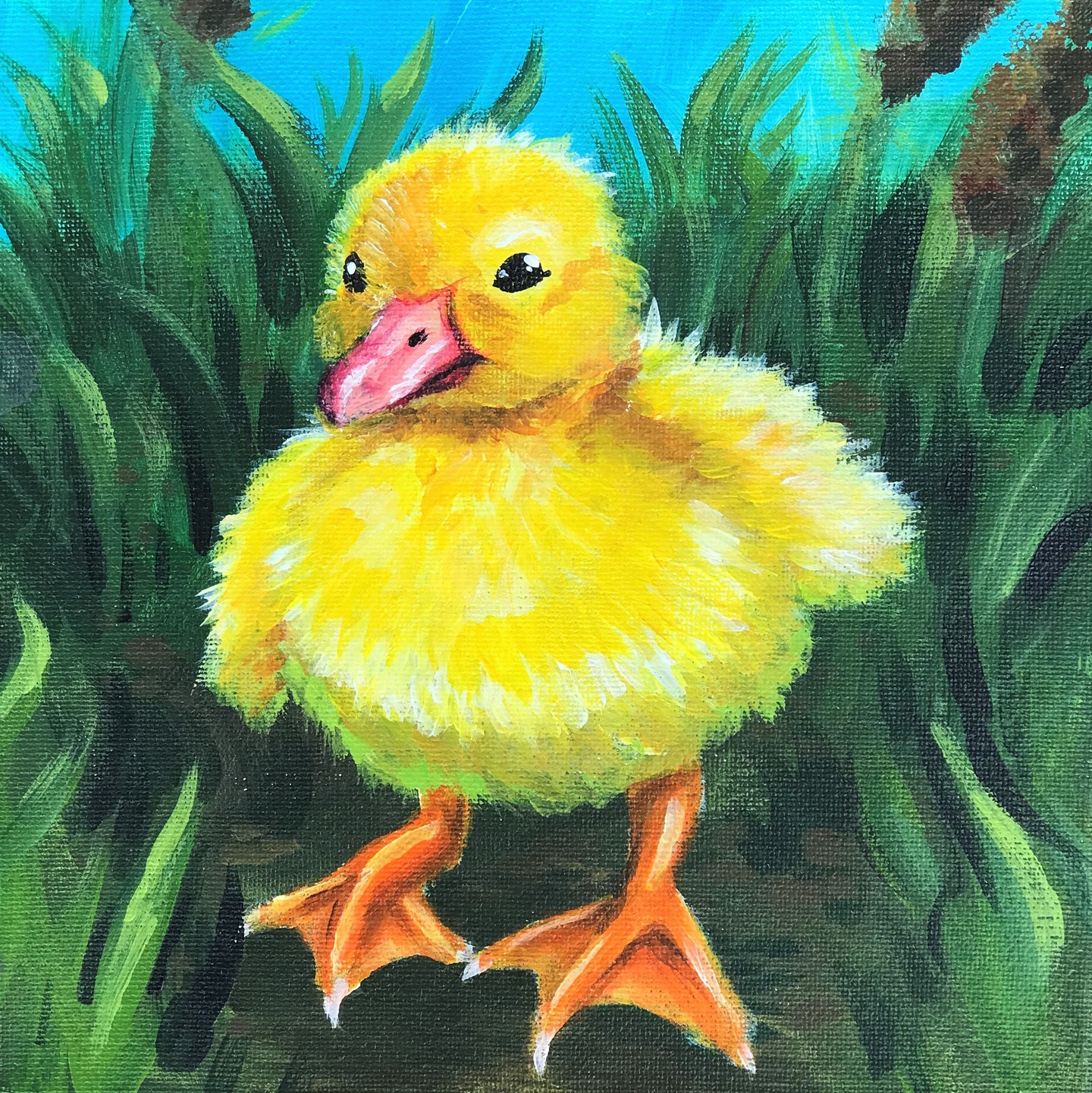 Photo gallery image - 1