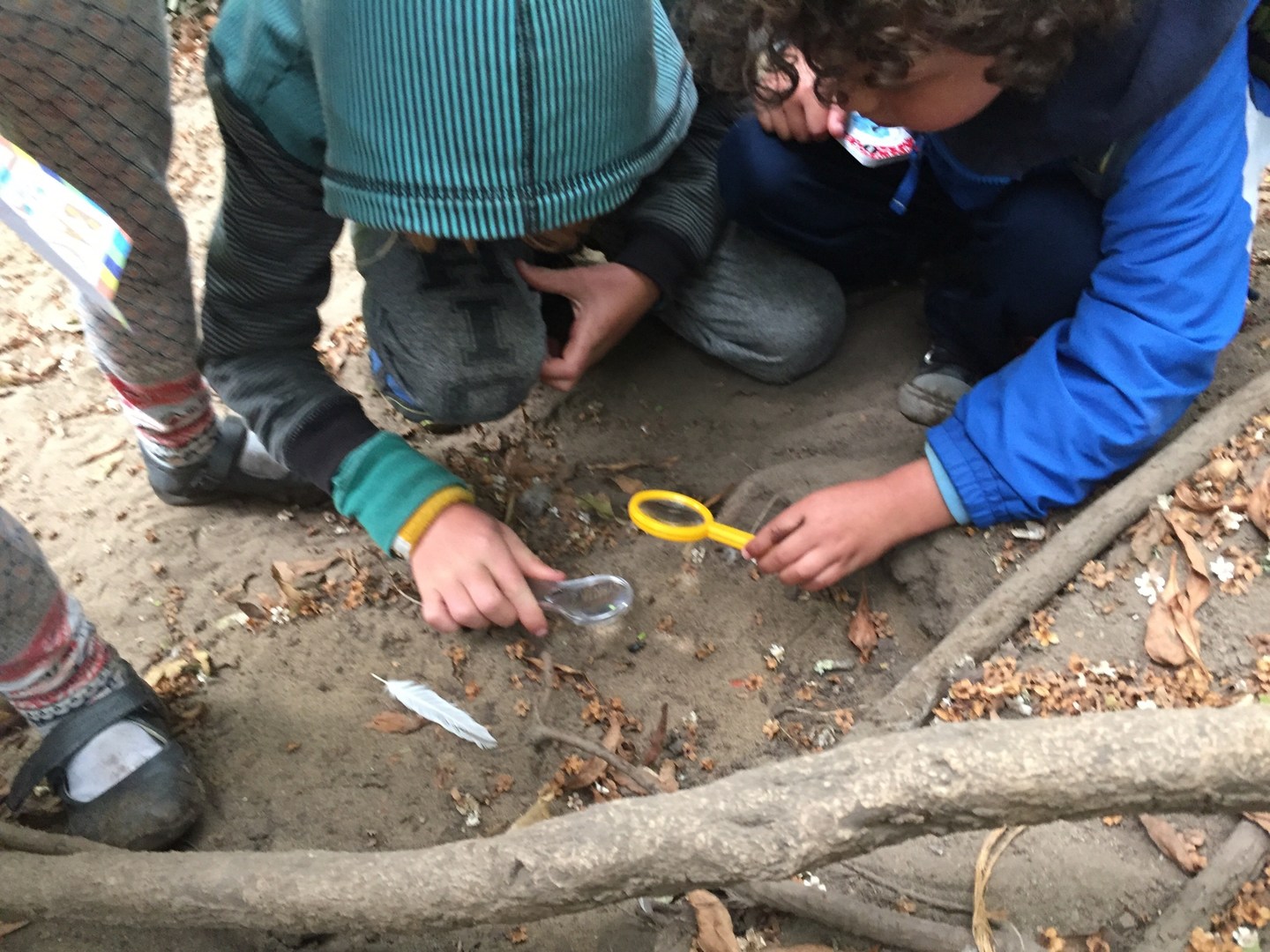 Photo gallery image - 3