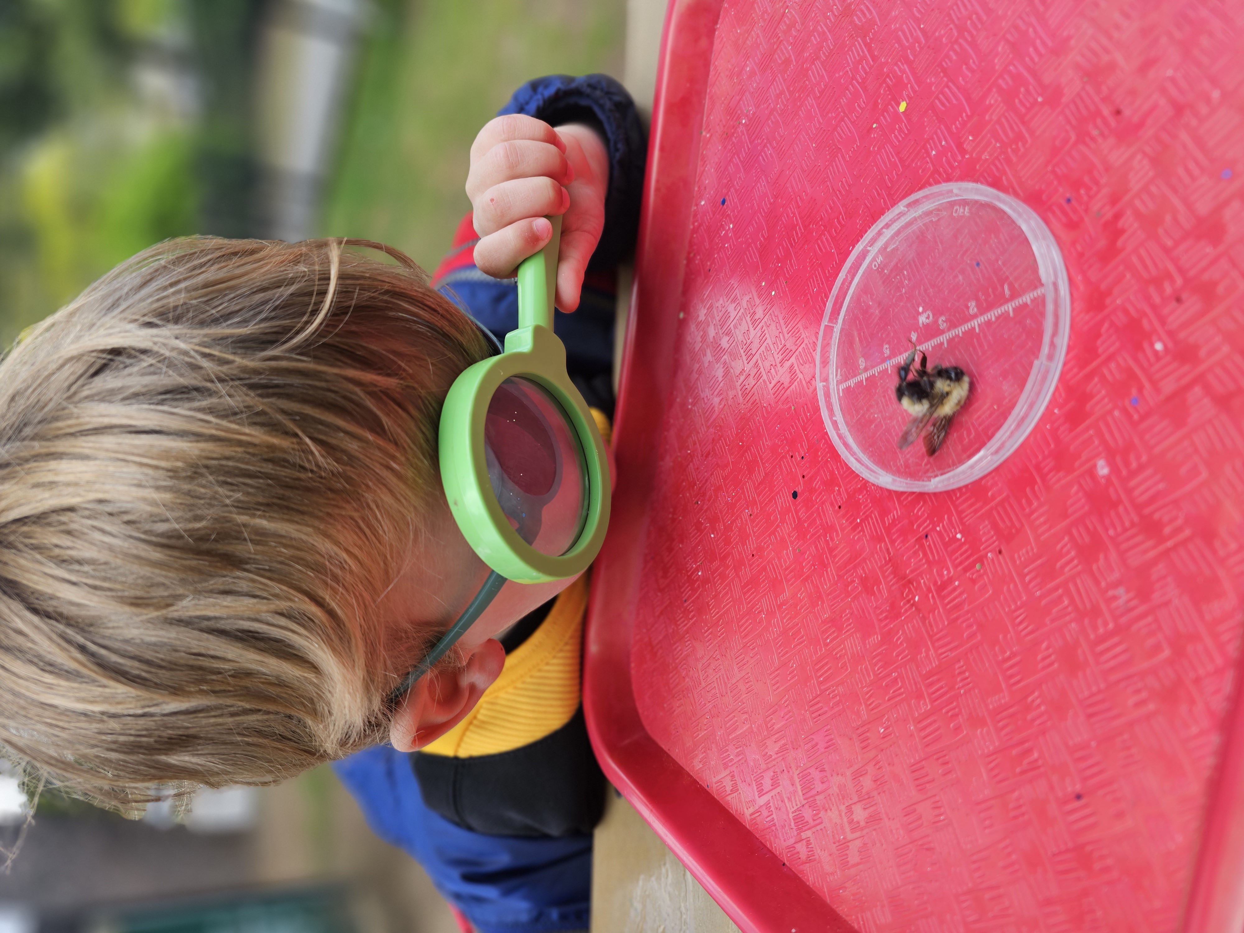 Temple Beth David Shalom Corner Early Learning Center's Photo