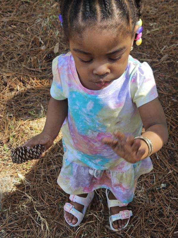 Natures Elements Preschool's Photo