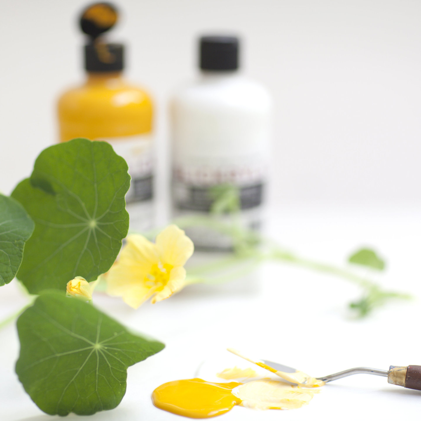 Photo gallery image - 0