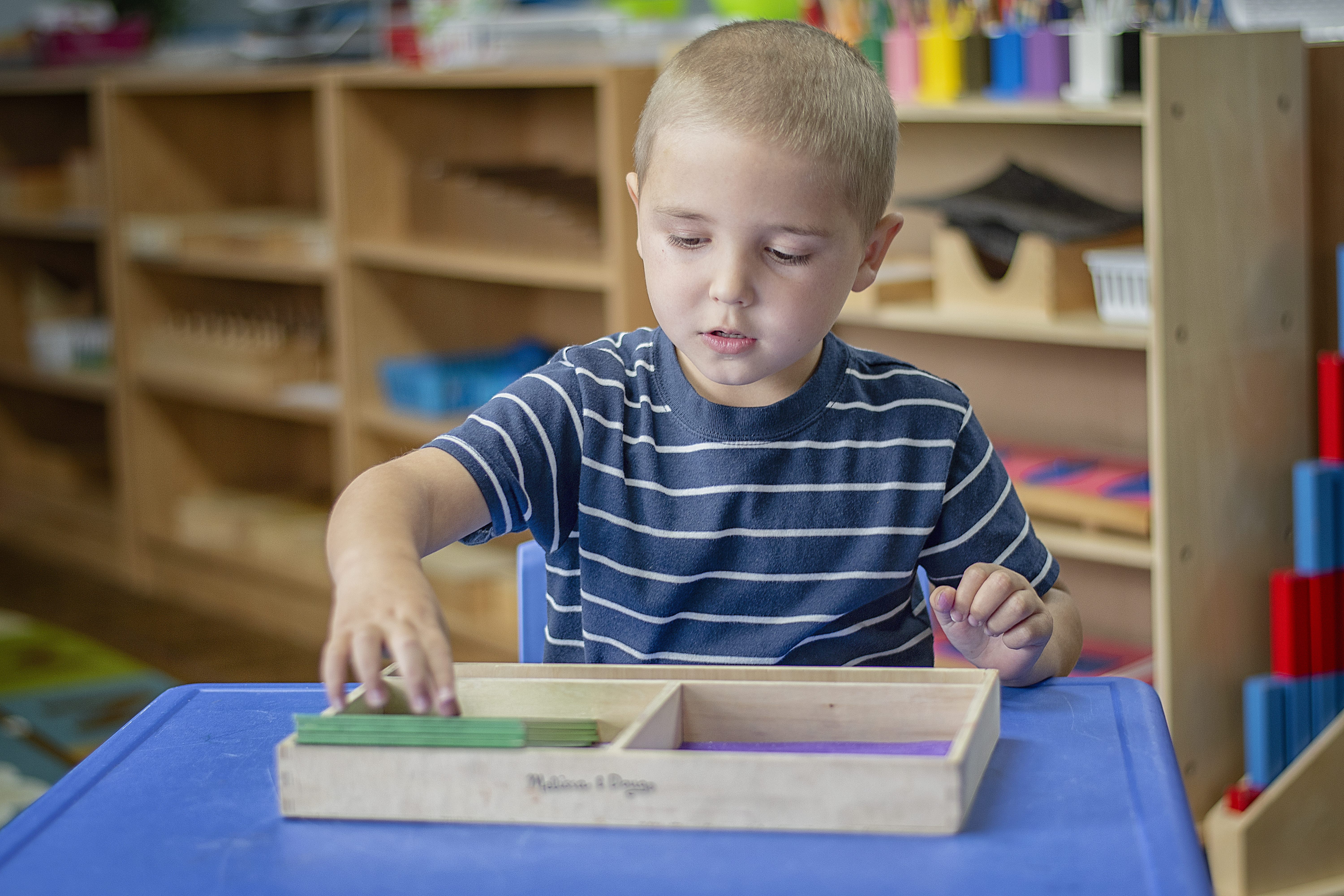 Trillium Montessori's Photo