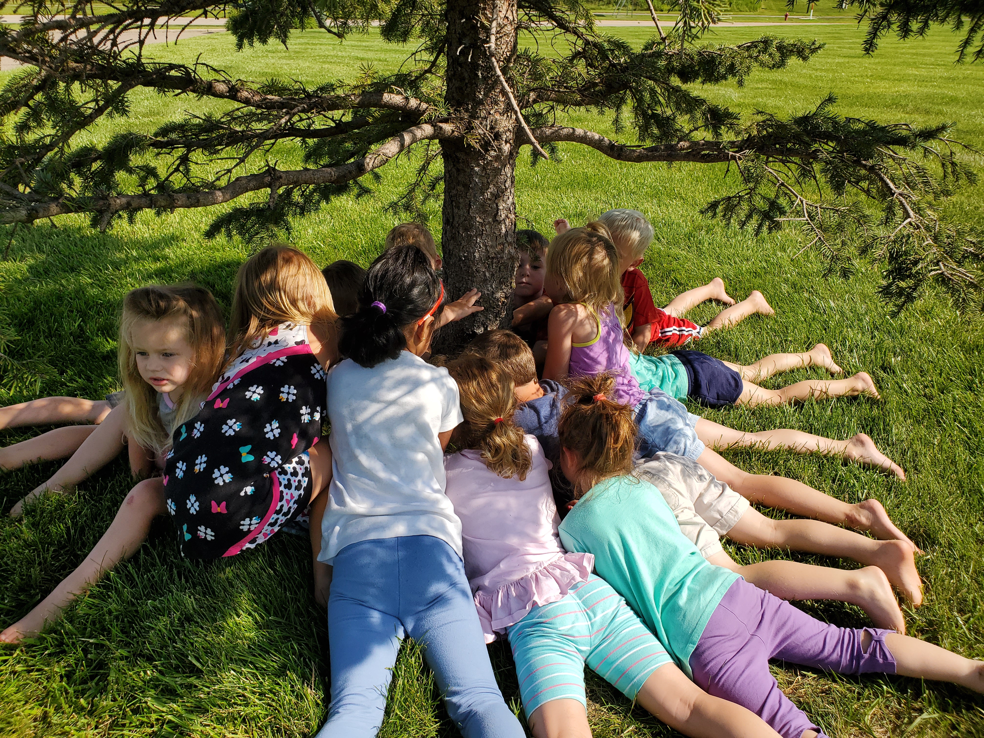 South Metro Montessori School's Photo