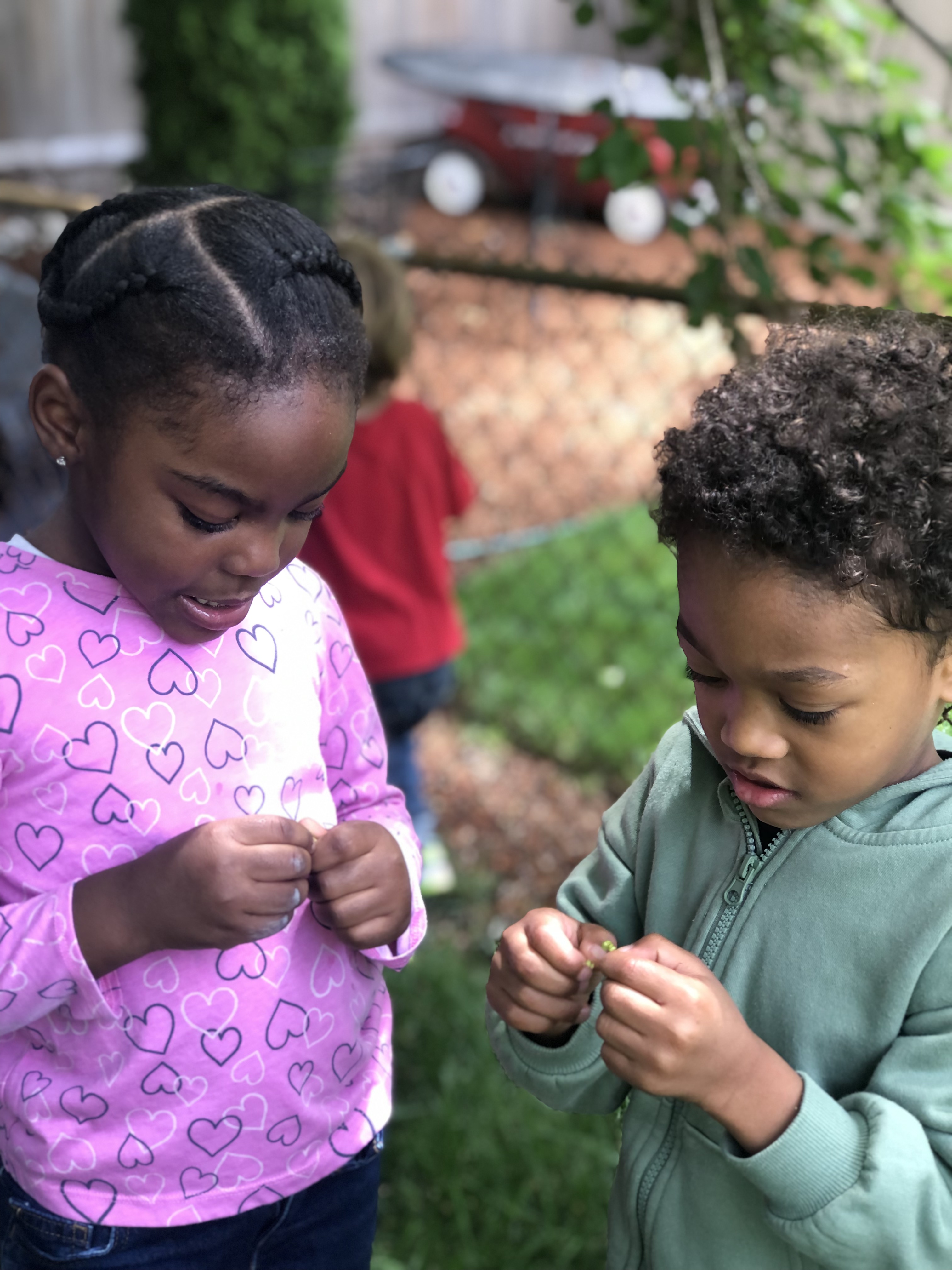 The Children's Garden's Photo