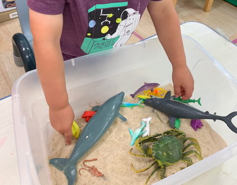 Northshore Early Learning Center's Photo