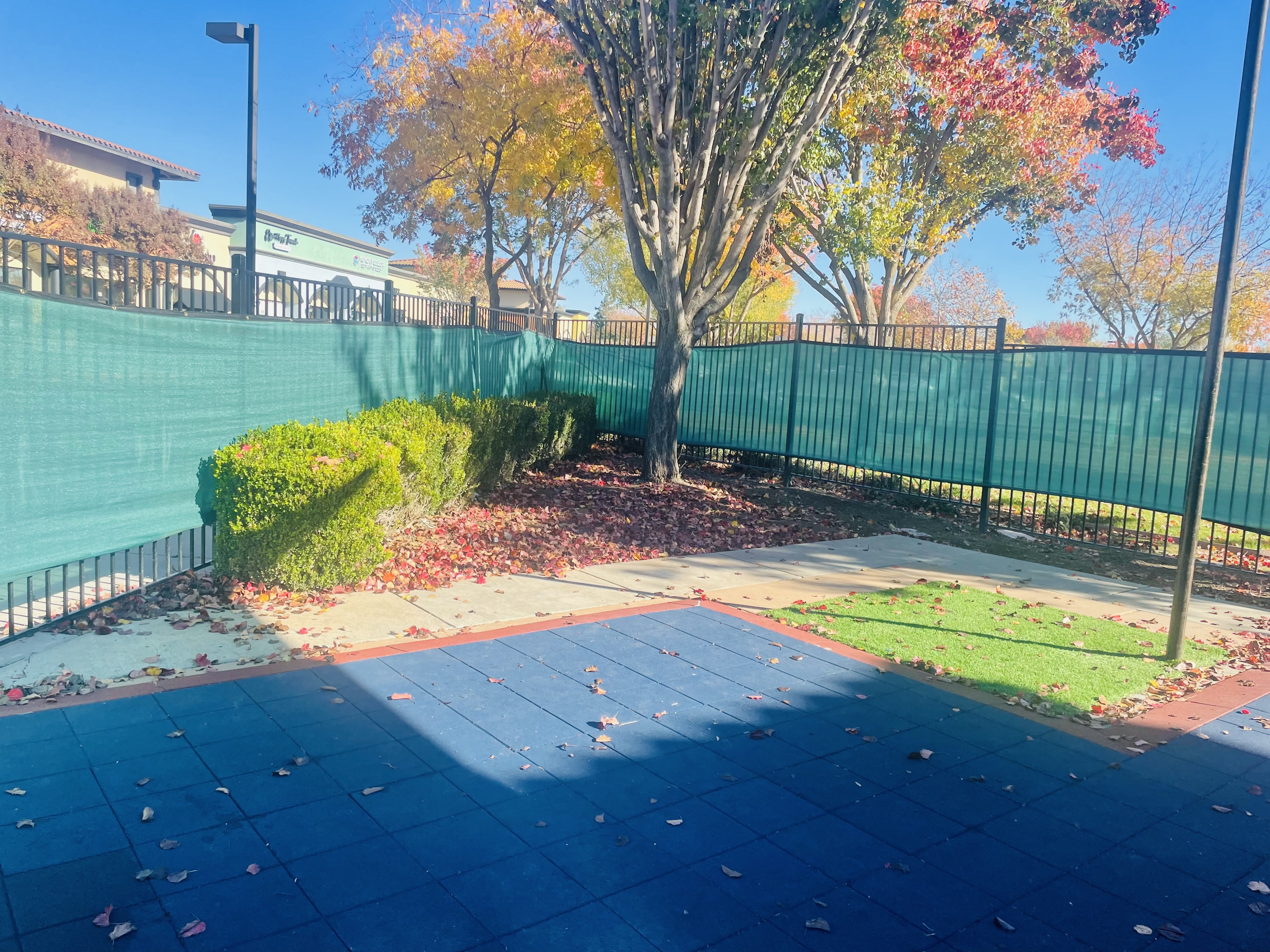 L'Academy Language Immersion Preschool - Elk Grove's Photo