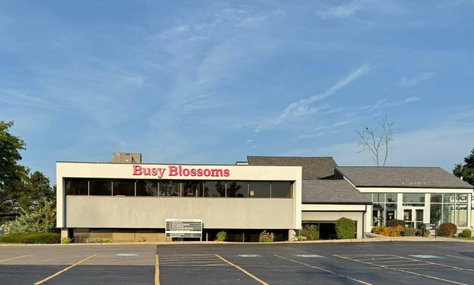 BUSY BLOSSOMS's Photo