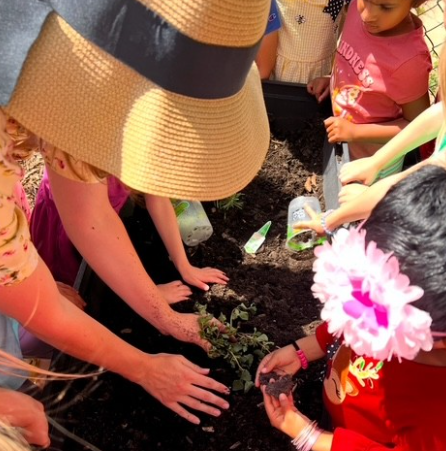 MONTESSORI CHILDREN'S CENTRE's Photo