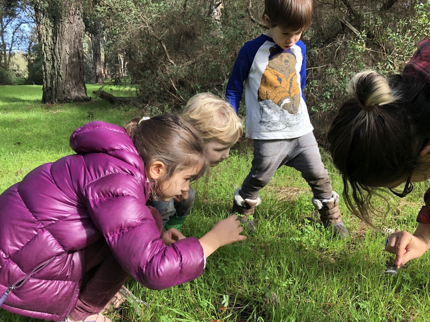 Photo gallery image - 1