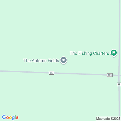 The Autumn Fields's Photo