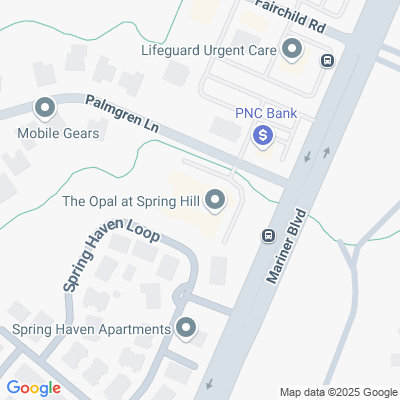 The Opal at Spring Hill's Photo