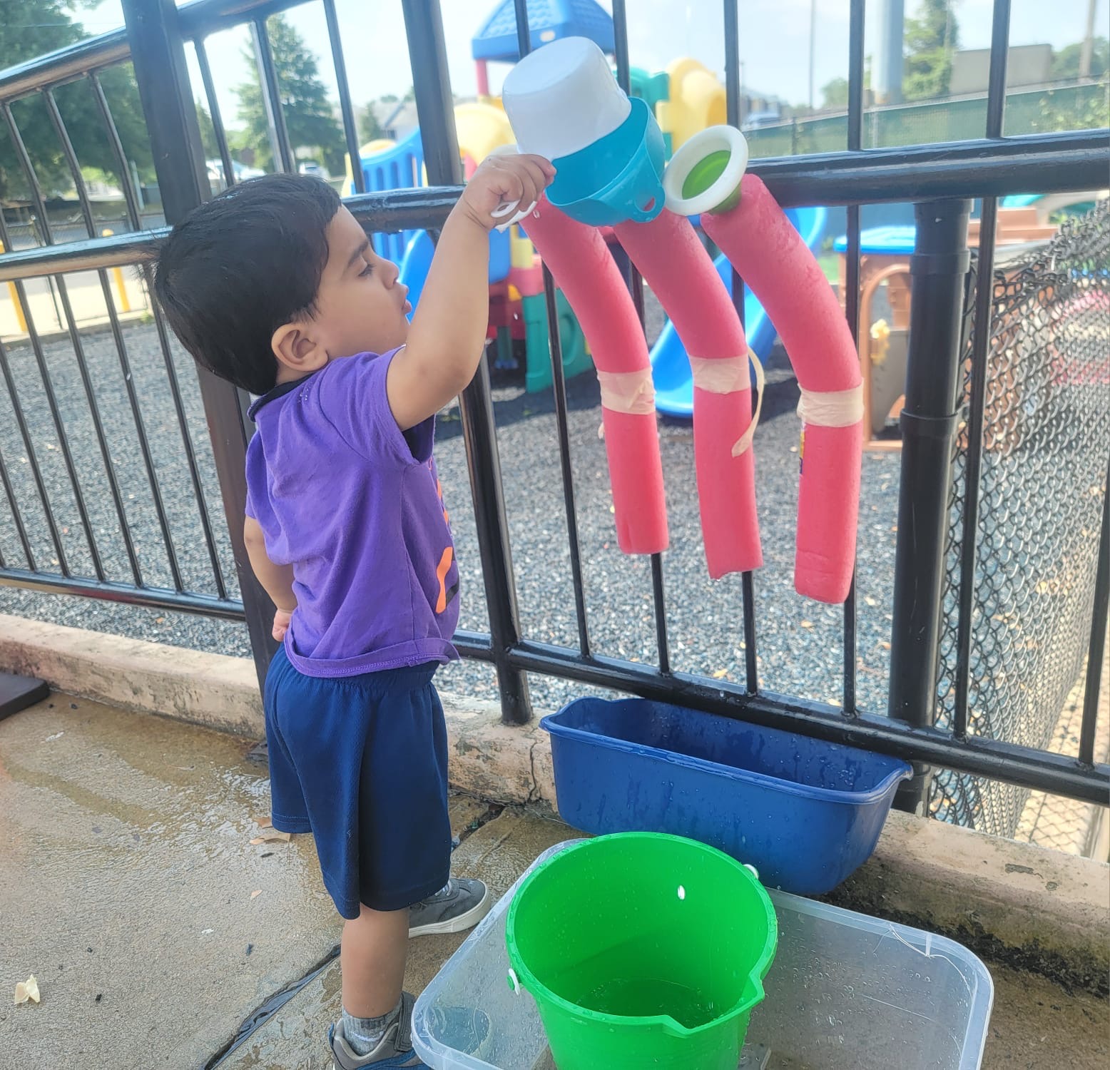 Promissory Montessori's Photo