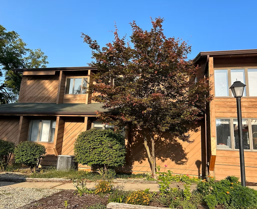 The Little Blue Wagon's Photo