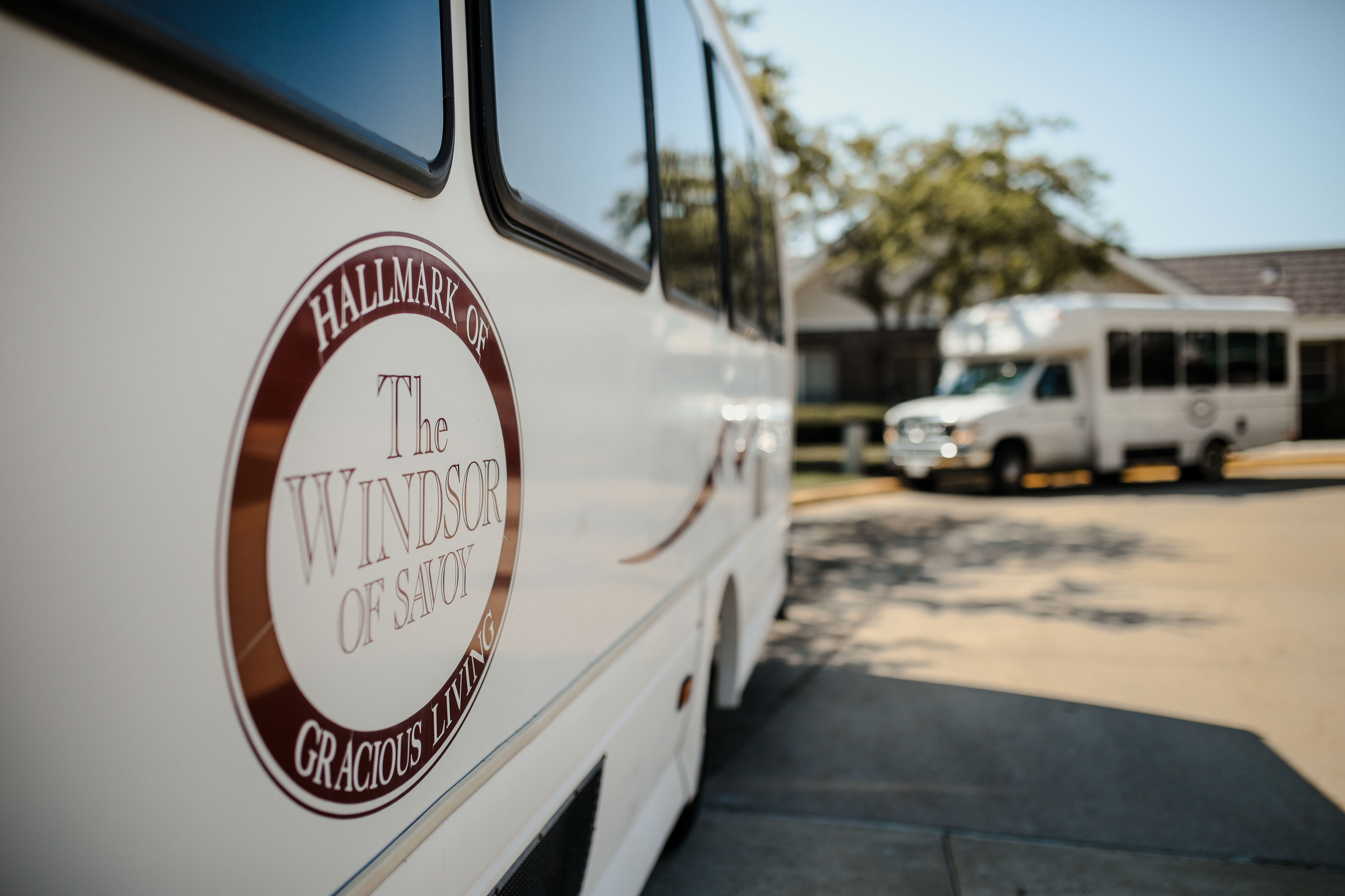 The Windsor of Savoy's Photo