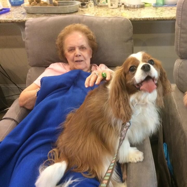 Manchester Care Homes Queens Ferry's Photo