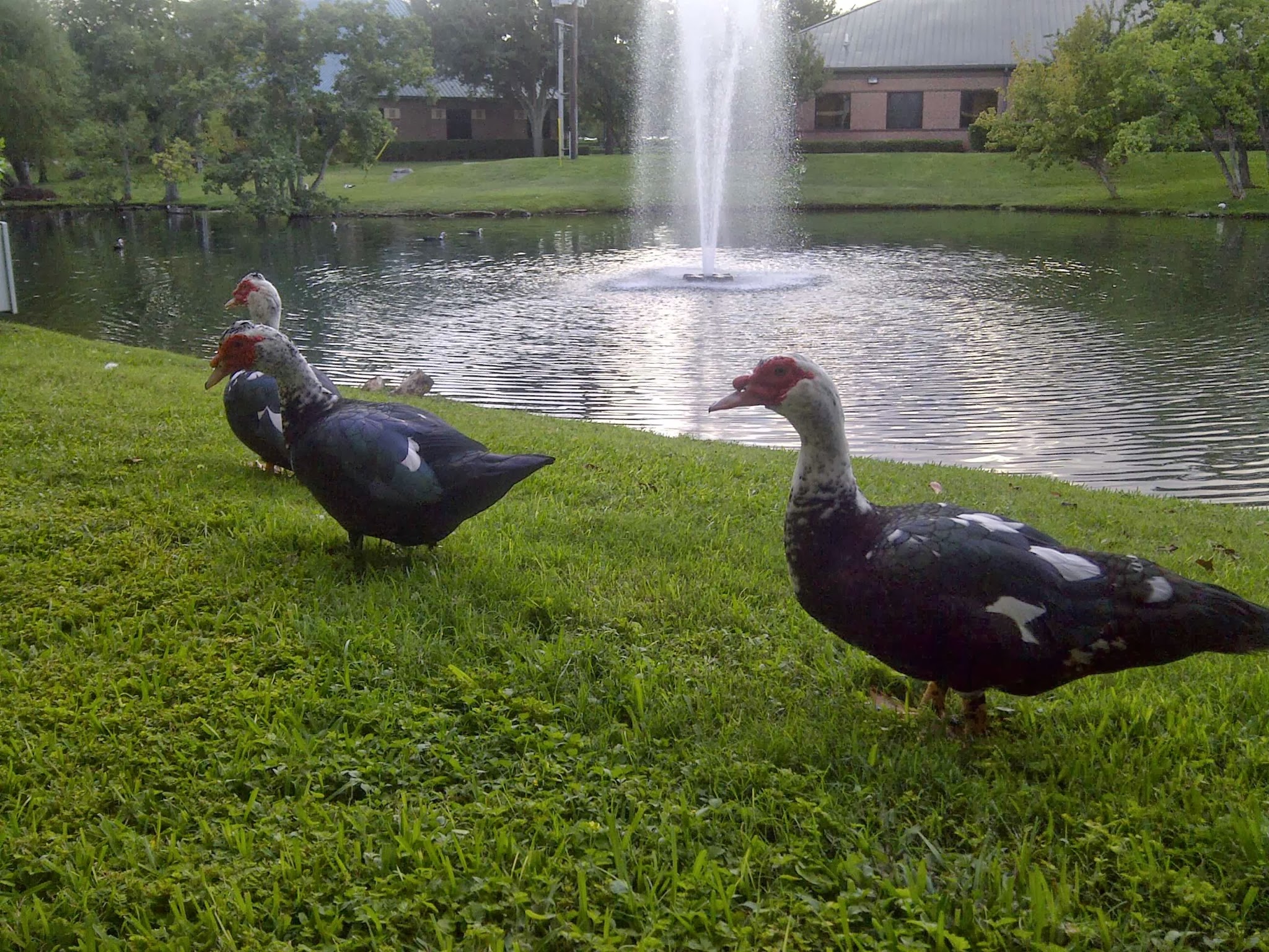 Barton House Memory Care's Photo