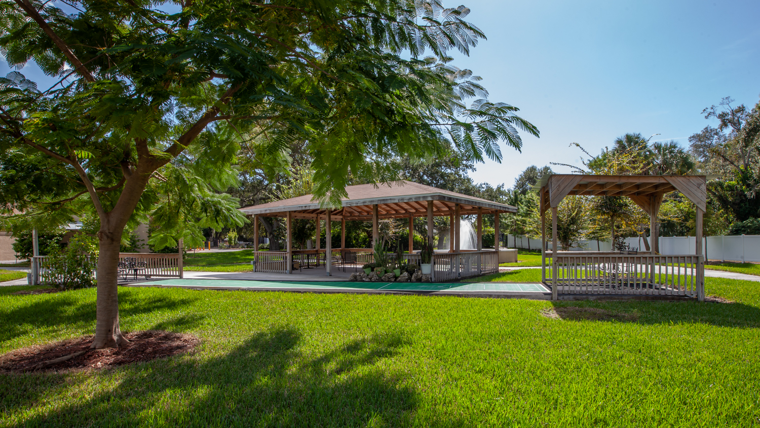 The Goldton at St. Petersburg's Photo