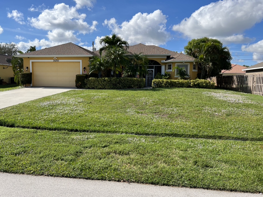 Senior Paradise ALF's Photo