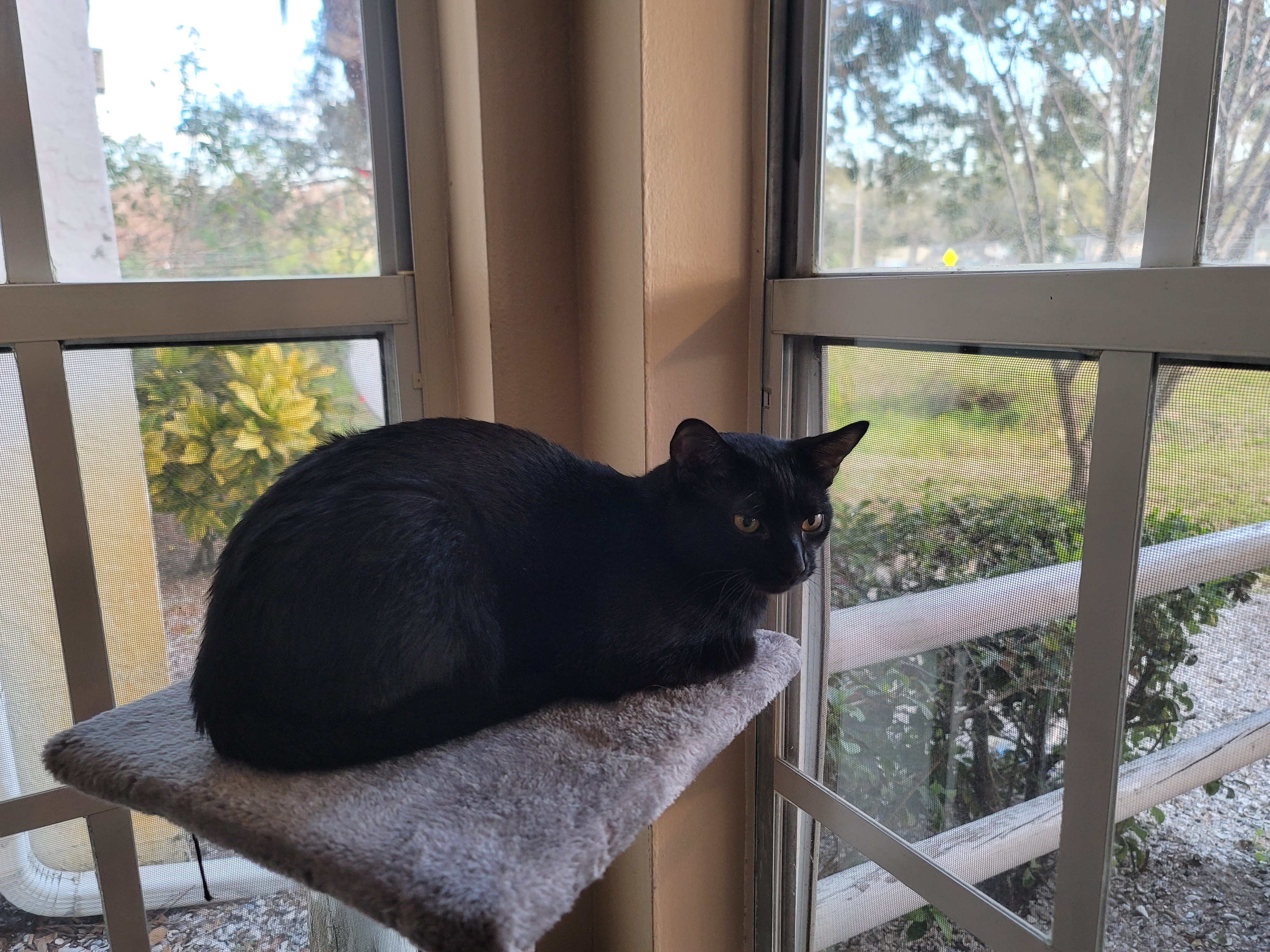 Bayou Gardens Assisted Living's Photo