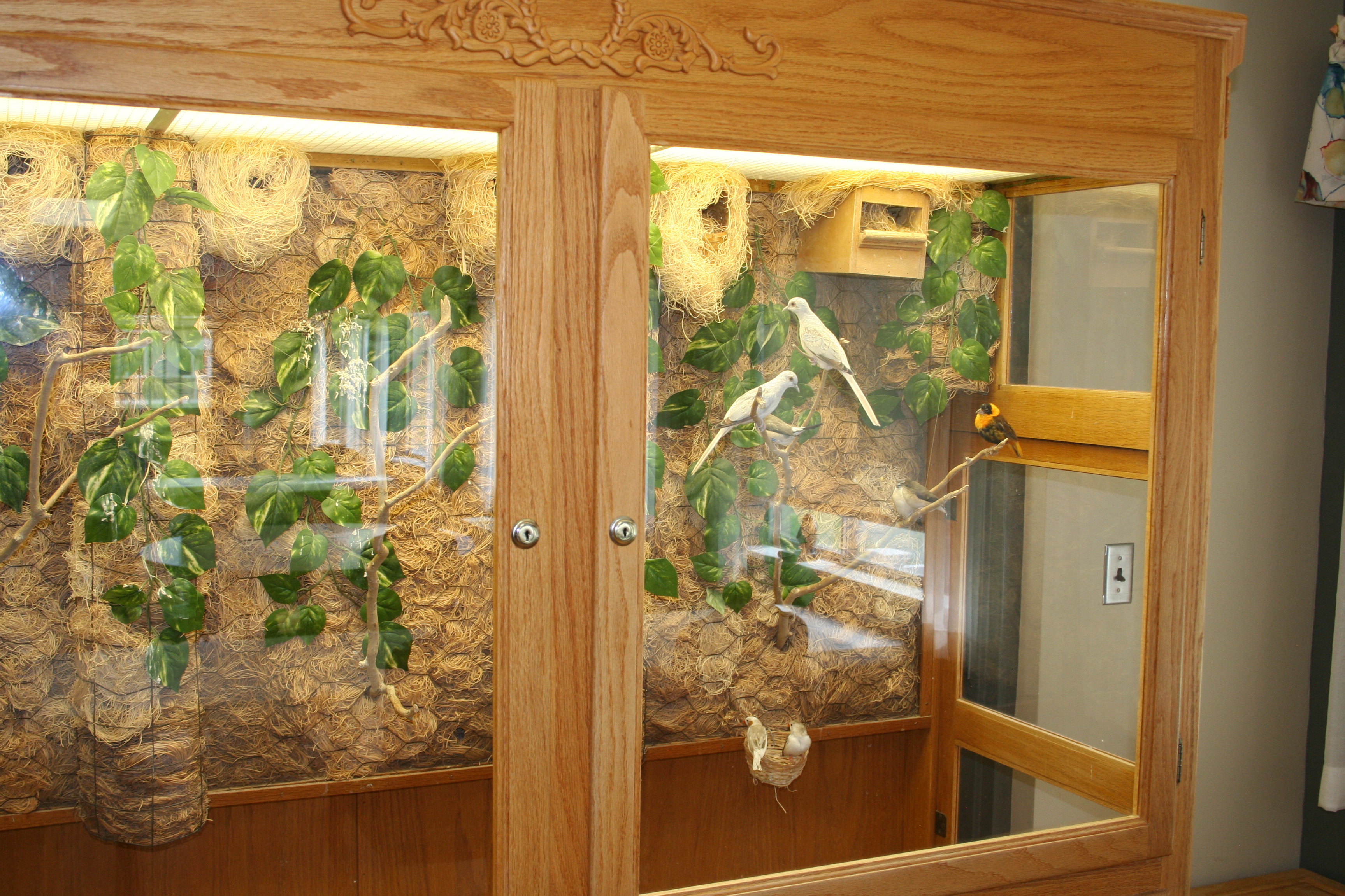 Photo gallery image - 2