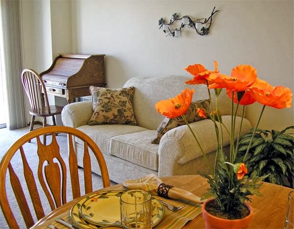 Trinity Terrace's Photo