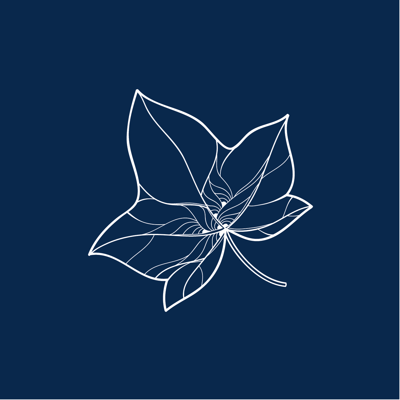 Ivy Park at Huntington Beach's Photo