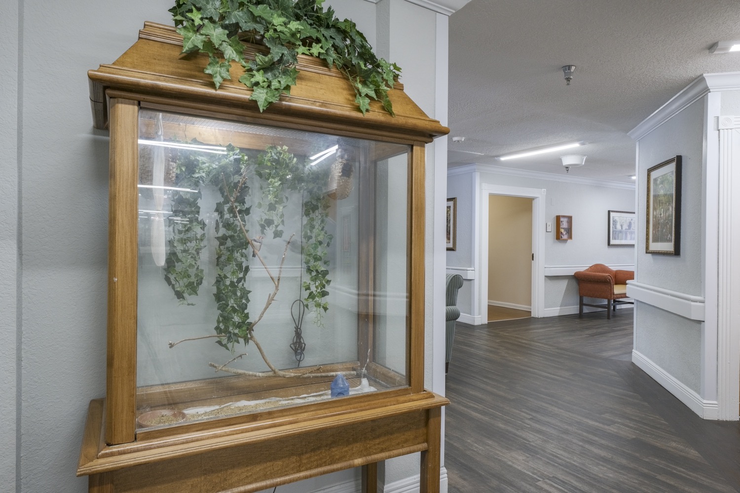 Photo gallery image - 3