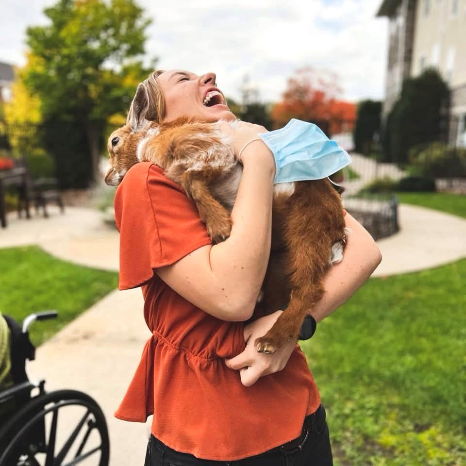 York Gardens's Photo