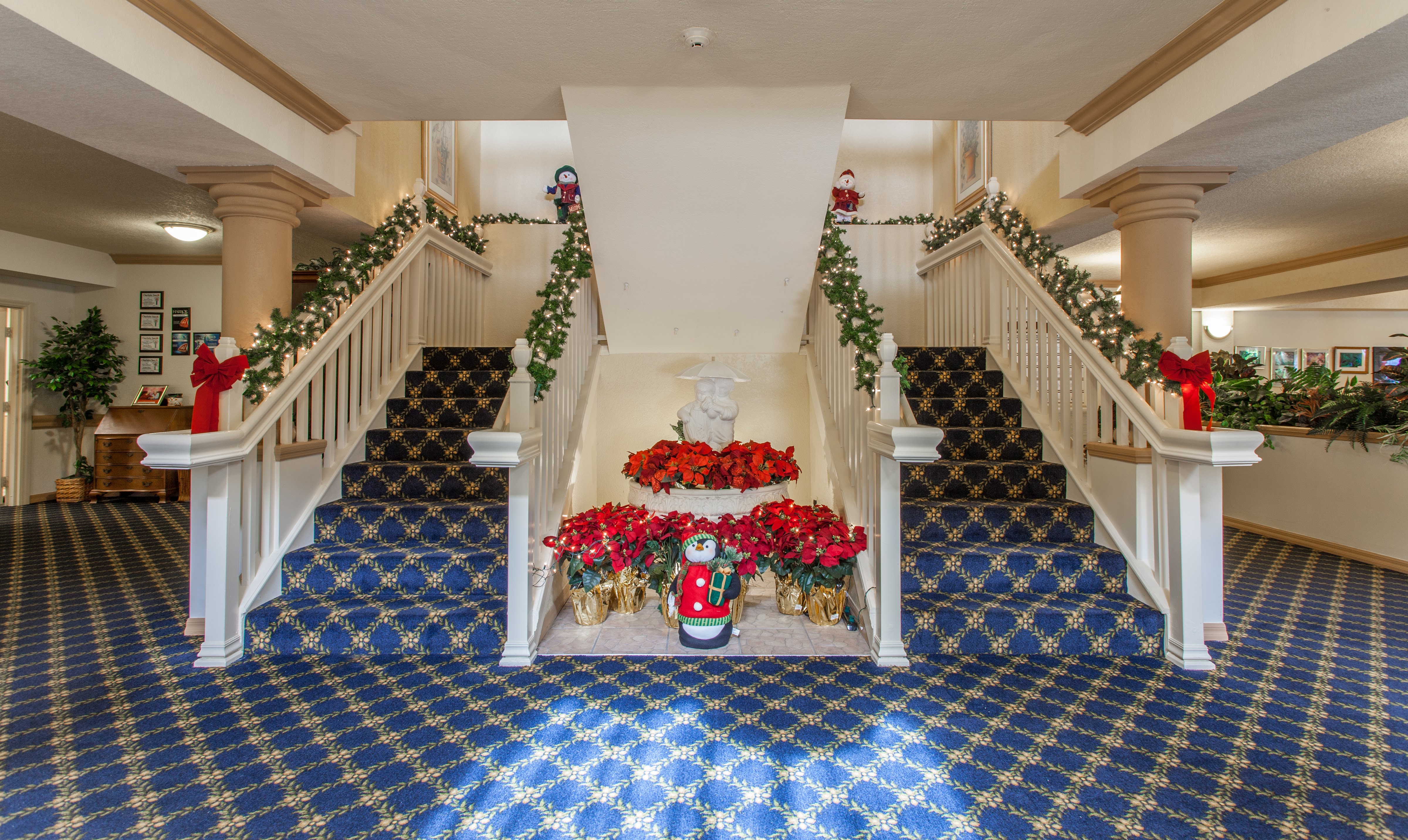 Photo gallery image - 4