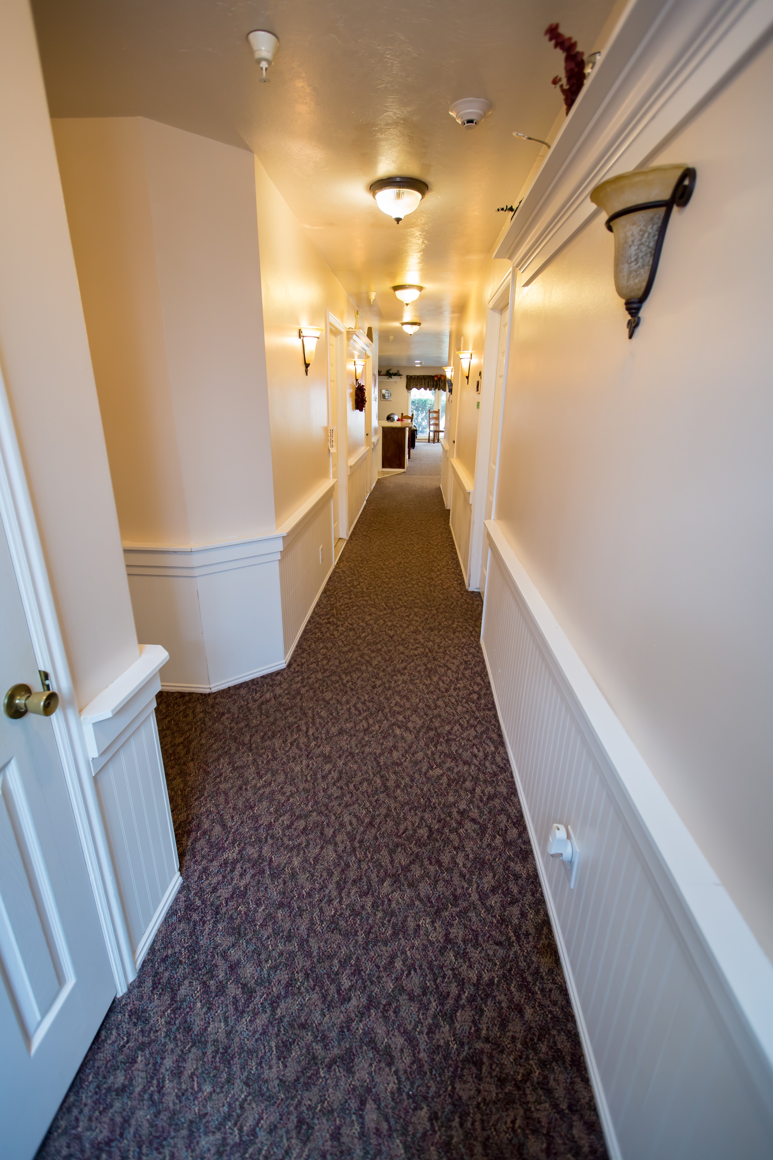 Photo gallery image - 4