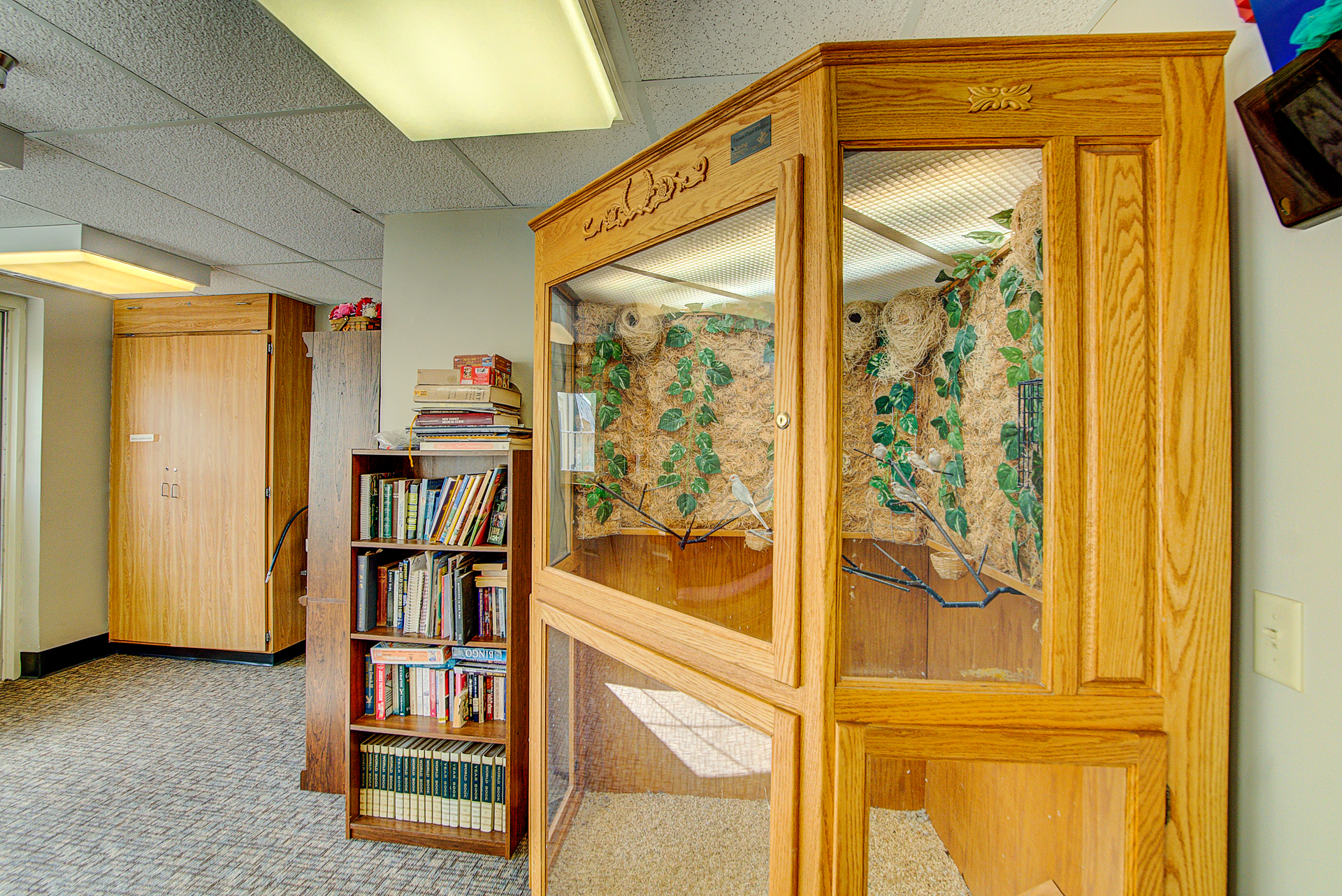 Photo gallery image - 1