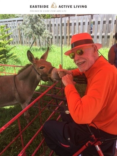 Photo gallery image - 4