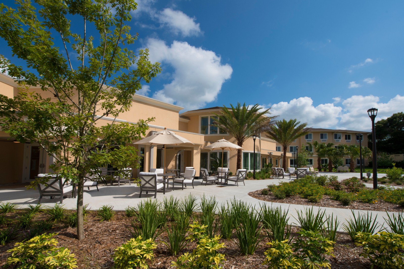 Tessera of Brandon's Photo