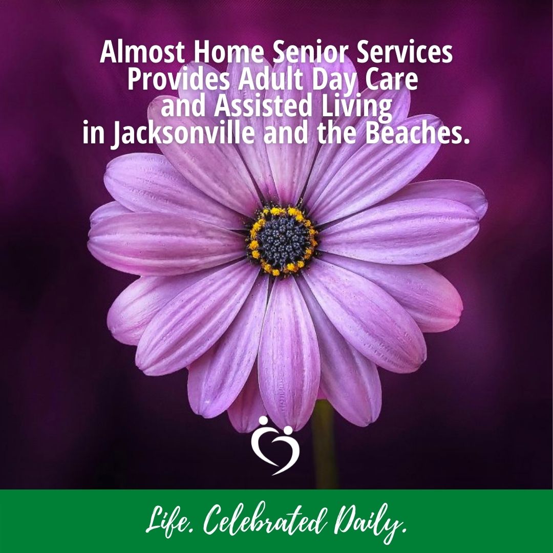 Almost Home Senior Services Inc's Photo