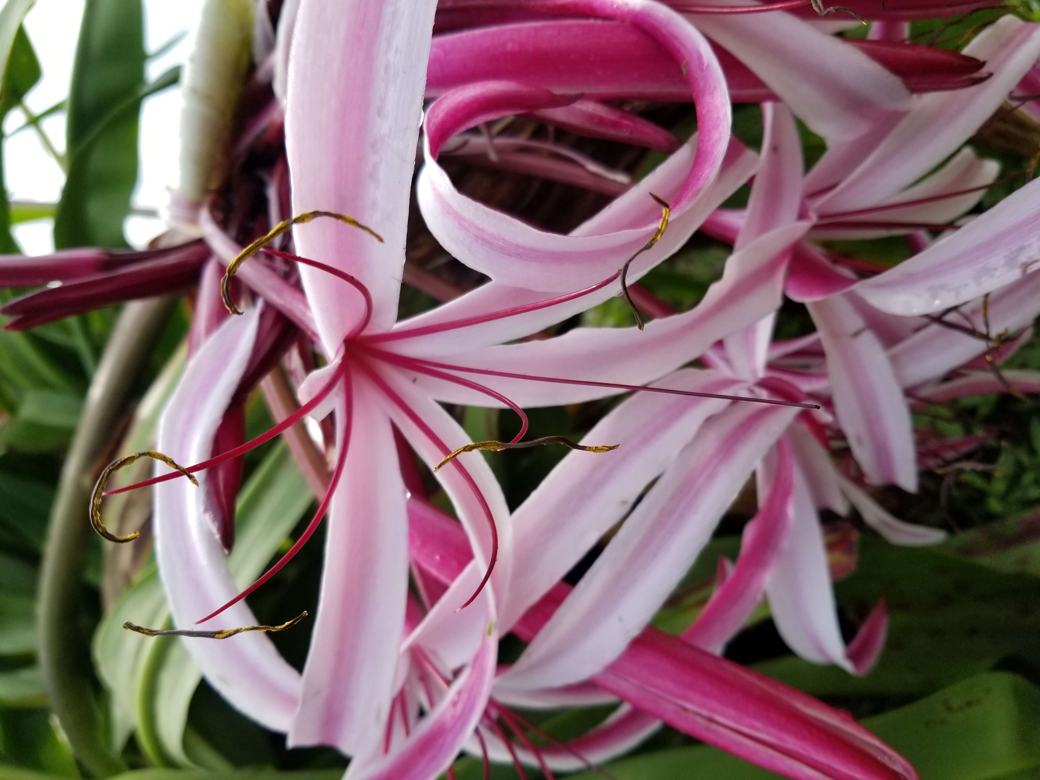 Photo gallery image - 4