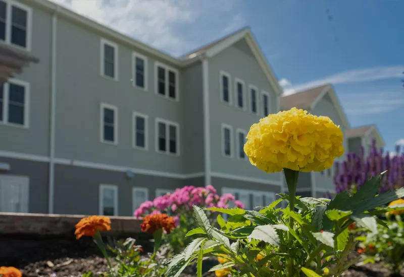 Judson Meadows Assisted Living's Photo