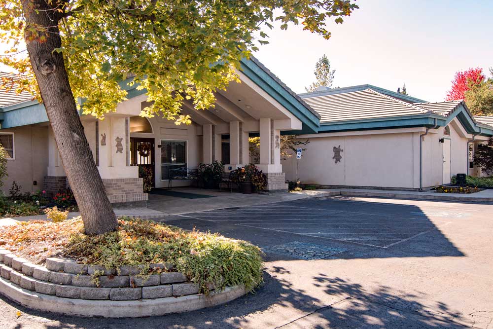 Photo gallery image - 4