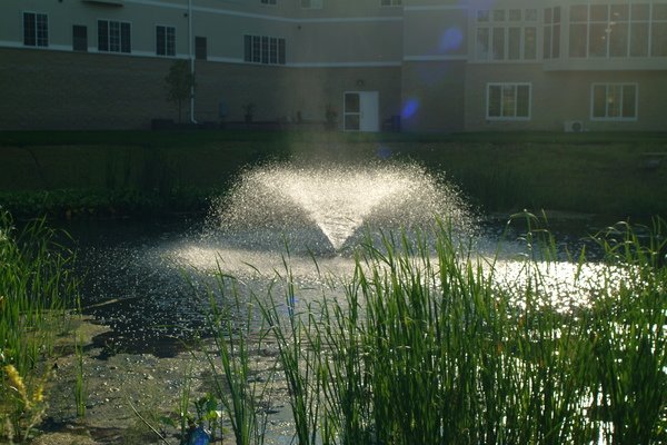 Regent at Burnsville's Photo