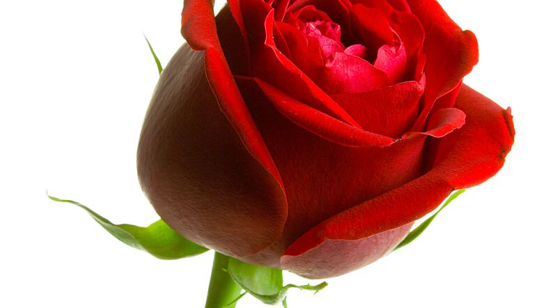 Garden Terrace Assisted Living's Photo