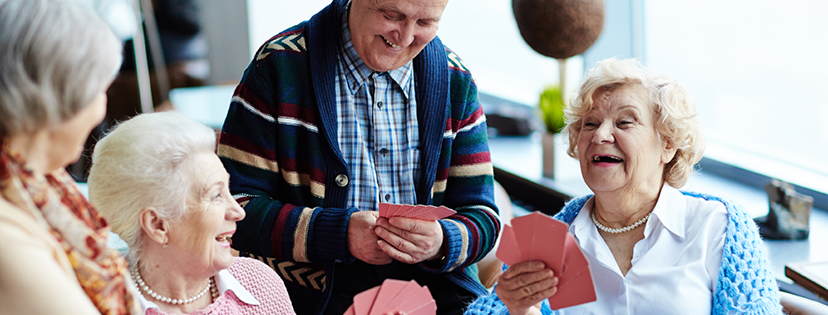 Walking Horse Meadows's Photo