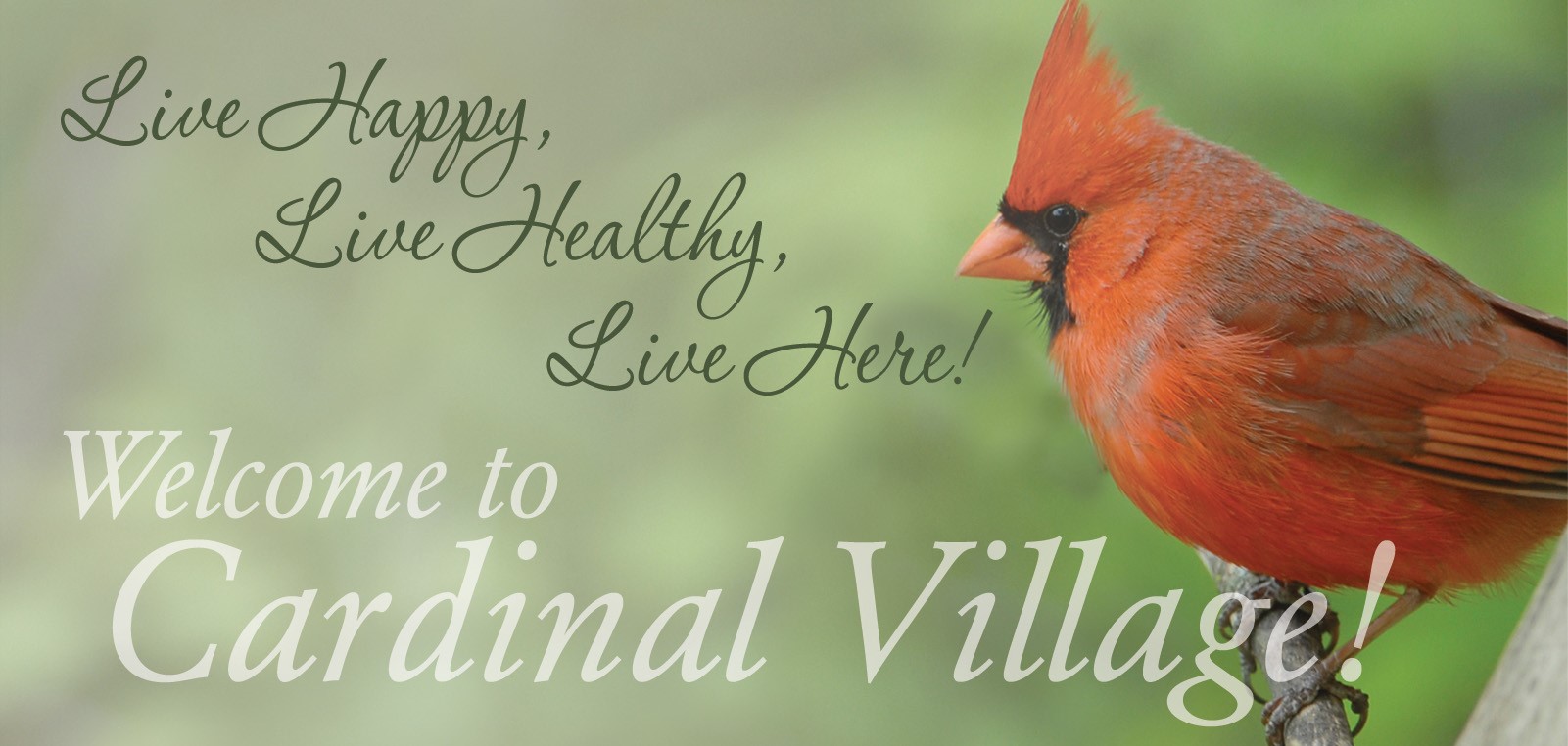 Cardinal Village's Photo