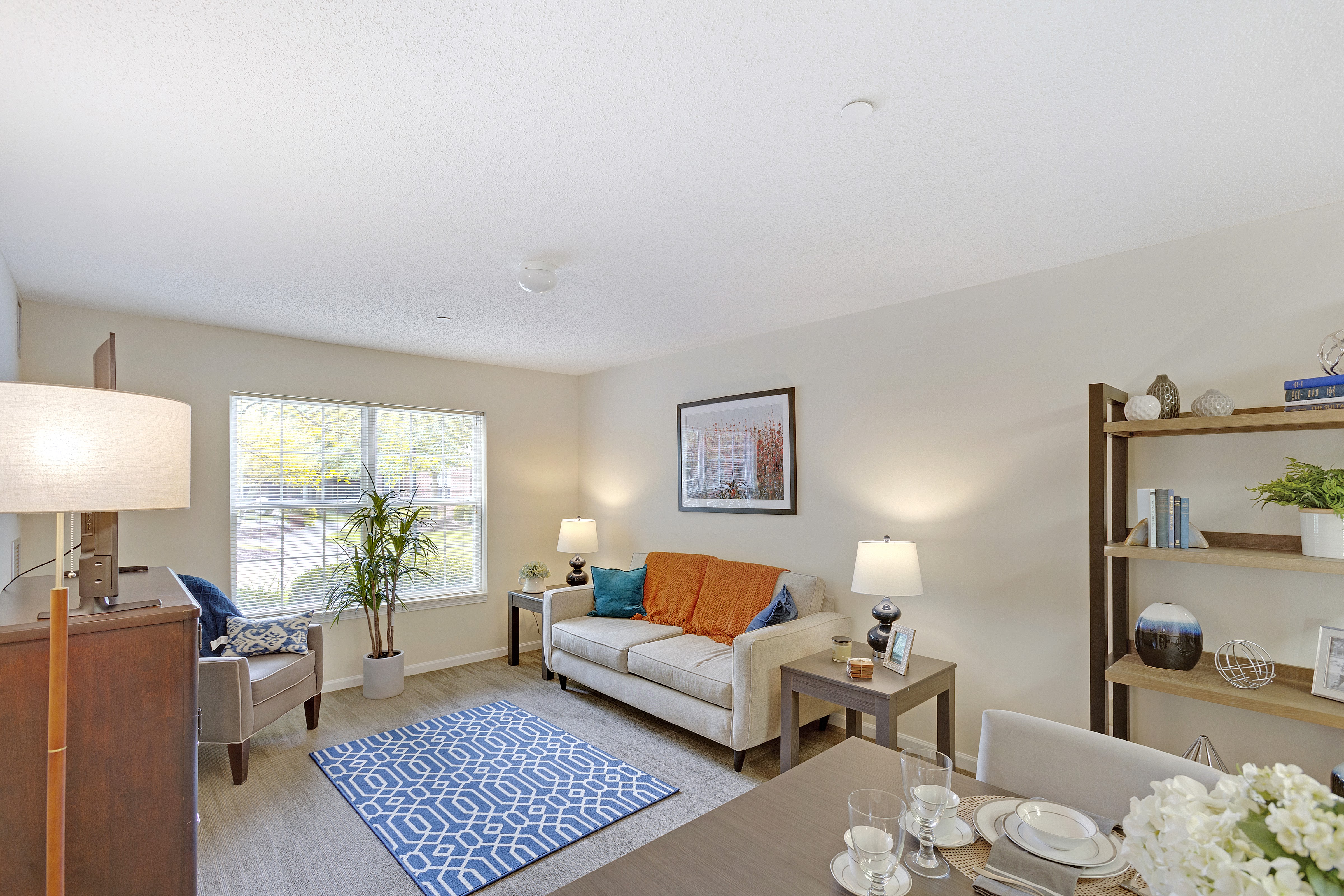 Photo gallery image - 4