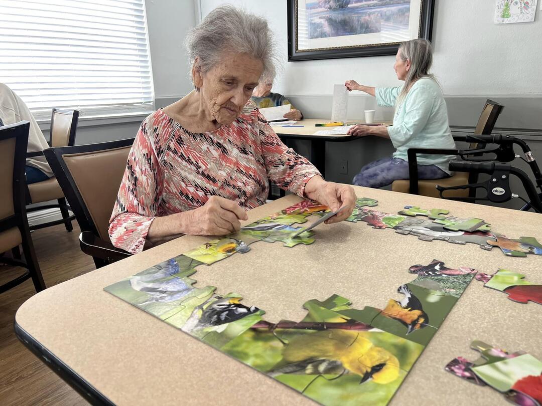 Angels Senior Living at Palma Ceia's Photo
