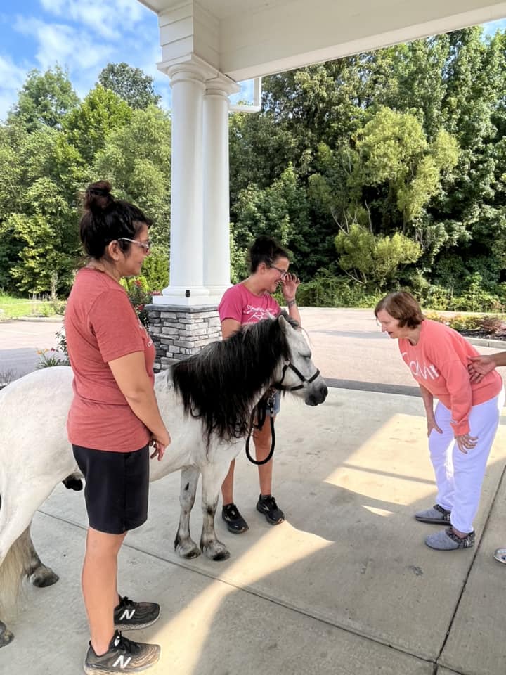 BeeHive Homes of Collierville's Photo