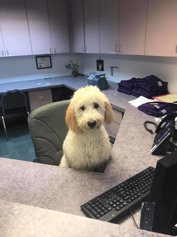 Photo gallery image - 0