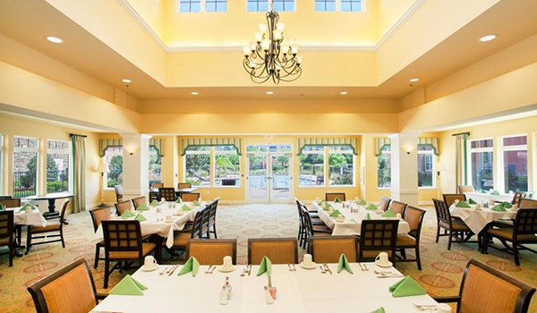 Camellia at Deerwood's Photo