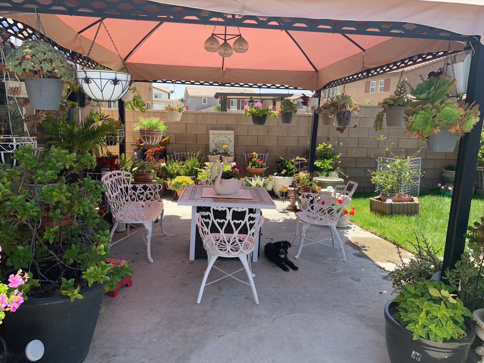 Skypark Assisted Living Facility's Photo