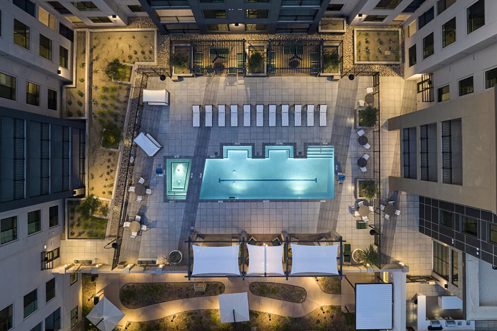 Clarendale Arcadia's Photo